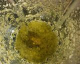 Foto del paso 2 de la receta: Spaghetti al pesto genovese