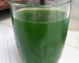 Foto langkah ke 1 dari resep Puding Lumut.