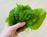 A picture of step 1 of Shiso miso “pesto” (Vegan).