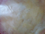 Kulit Lassagna (HomeMade)