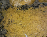 Foto del paso 12 de la receta: Fideos al huevo con salsa.     2 recetas en 1                     