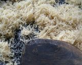 A picture of step 1 of Sweet wheat sevaiyan.