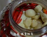 酸爽帶勁 不矯氣的四川泡菜 (生水版)的食譜步驟5照片