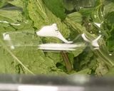 Foto del paso 2 de la receta: Limonada de hierbabuena