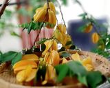 Hình bước làm 1 của món Bữa cơm ngon với khế nhà trồng