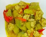 Foto langkah ke 6 dari resep Labu siam + tempe santan / Gulai labu siam.