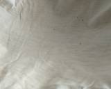 Homemade Mozzarella Cheese recipe step 4 photo