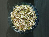 अंकुरित मूंग मटकी मिक्स सलाद (Sprouted Moong Matki mix Salad)