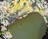 Foto langkah ke 3 dari resep Nasi daun jeruk.