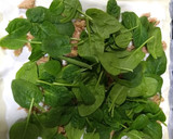 Foto del paso 3 de la receta: Hojaldre de espinacas y atún