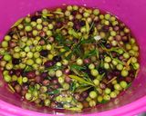 Foto del paso 2 de la receta: Aceitunas al estilo campo real (la recolección)