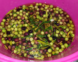 Foto del paso 2 de la receta: Aceitunas al estilo campo real (la recolección)