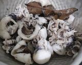 Foto langkah ke 1 dari resep Sotong Tumis Cabe Bawang.