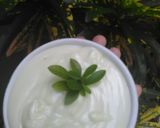 Foto langkah ke 6 dari resep Mayonaise KW SUPER cuma 5 menit.