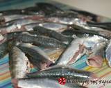Sardines marinated in mustard and ouzo recipe step 1 photo