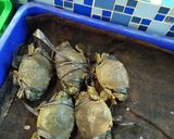 Foto langkah ke 1 dari resep Kepiting pedas manis.
