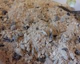 Foto del paso 1 de la receta: Cuadrados de avena y chocolate