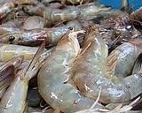 รูปขั้นตอนการทำที่ 1 ของ กุ้งทอดเกลือกระเทียมกรอบ