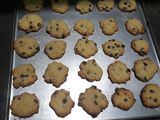 Vanilla chocochips cookies
