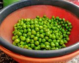 Foto del paso 1 de la receta: TAHINE De Arvejas (guisantes)🌾
