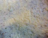 Foto del paso 4 de la receta: Lomo de cerdo a la leche