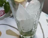 Foto del paso 3 de la receta: Mojito de naranja