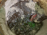 Fudgy Brownies