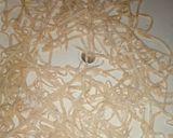 Foto del paso 4 de la receta: Fideos caseros