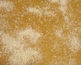 Foto del paso 3 de la receta: Torta de Miel Esponjosa