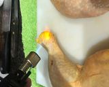 Foto del paso 1 de la receta Pollo al horno con cebolla y zanahoria