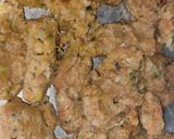 દુધી ના મુઠીયા (Dudhi Muthia Recipe In Gujarati) રેસીપી સ્ટેપ2ફોટો