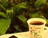 Hình bước làm 7 của món Bí quyết hấp bánh sô cô la ngon khó cưỡng!