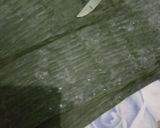 Foto langkah ke 4 dari resep Lupis.