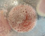 Foto del paso 1 de la receta Calippos de sandía 🍉