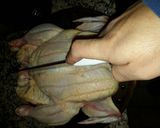 Foto del paso 2 de la receta: Pollo al horno