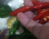 Foto langkah ke 4 dari resep 1066. Sayur Lodeh Bumbu Instan.