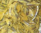 Foto langkah ke 1 dari resep TeRi Tepung Kuning.