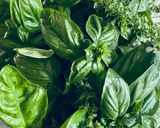 Foto del passaggio 1 della ricetta Sale aromatizzato al basilico