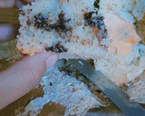 Foto del paso 7 de la receta: Pan dulce con chips de chocolate