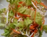 Foto langkah ke 5 dari resep Asinan Sayur Segeer..
