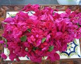 Foto del paso 1 de la receta: Tisana de bugambilia deshidratada al sol