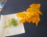 Foto del passaggio 2 della ricetta Focaccia con fiori di zucca mozzarella e acciughe