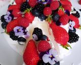 Une image de l'étape 5 de Pavlova.