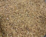 A picture of step 3 of Kollu Thogayal (Horsegram chutney).