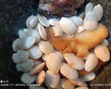 Foto del paso 4 de la receta: Conejo en salsa de almendras con curry