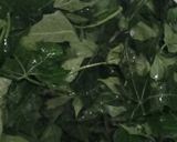 Foto langkah ke 1 dari resep Daun pepaya jepang kuah santan.