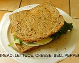 Delectable Sandwiches Sandwich Galore recipe step 5 photo