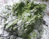 Foto del paso 3 de la receta: Pan de espinaca🌿