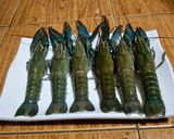 รูปขั้นตอนการทำที่ 1 ของ Crayfish Thermidor