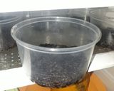 Foto langkah ke 1 dari resep Dessert box oreo.